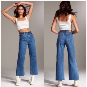 Aritzia Farrah High Rise Wide Leg Jean